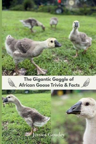 The Gigantic Gaggle of African Goose Trivia & Facts