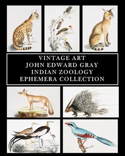 Vintage Art: John Edward Gray: Indian Zoology Ephemera Collection