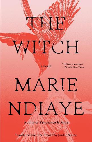 The Witch: A Novel