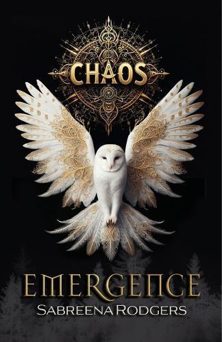 Chaos Emergence
