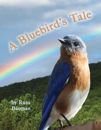 A Bluebird's Tale