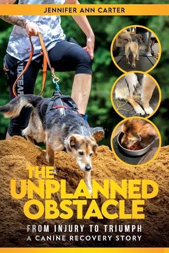 The Unplanned Obstacle: From Injury to Triumph: A Canine Recovery Story