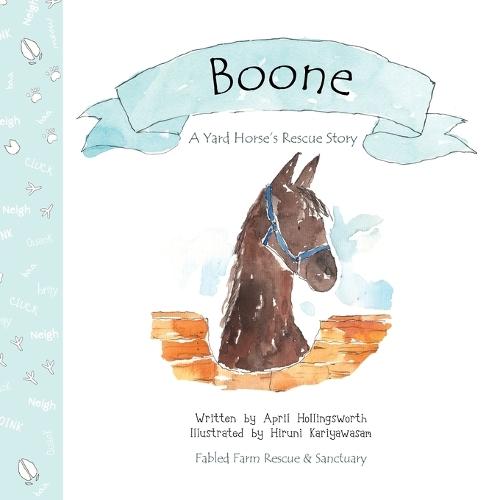 Boone - A Yard Horse's Rescue Story