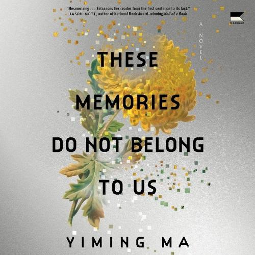 These Memories Do Not Belong to Us: A Constellation Novel