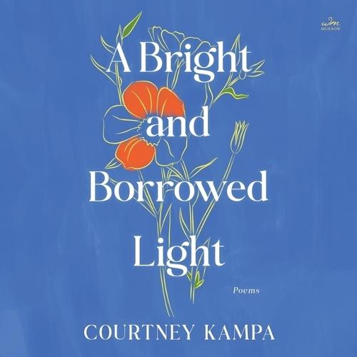 A Bright and Borrowed Light: Poems