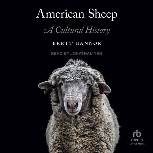 American Sheep: A Cultural History