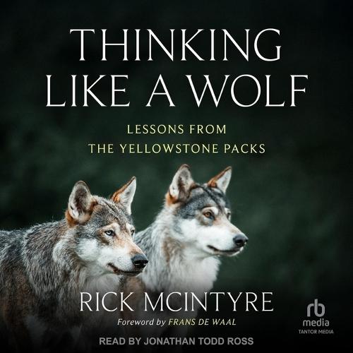 Thinking Like a Wolf: Lessons from the Yellowstone Packs