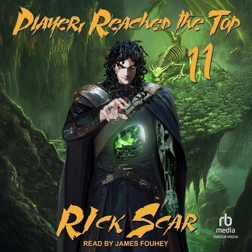 Player Reached the Top: Book 11