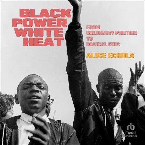 Black Power, White Heat: From Solidarity Politics to Radical Chic