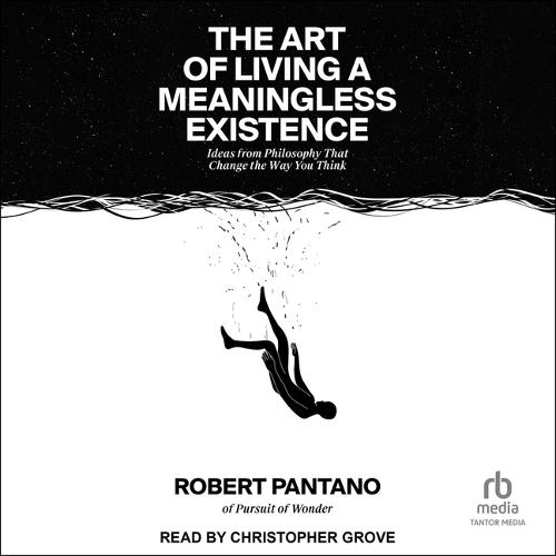 The Art of Living a Meaningless Existence: Ideas from Philosophy That Change the Way You Think