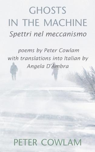 Ghosts in the Machine