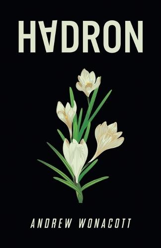 Hadron