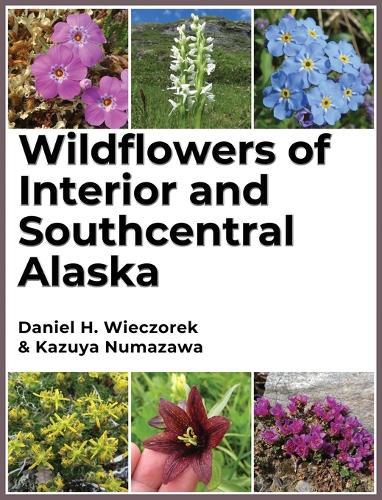 Wildflowers of Interior and Southcentral Alaska