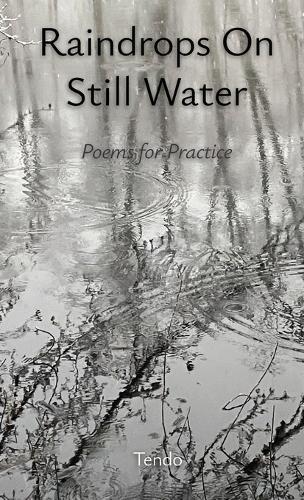 Raindrops on Still Water: Poems for Practice