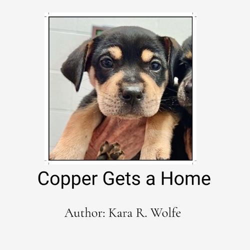 Copper Gets a Home: A Decodable Text