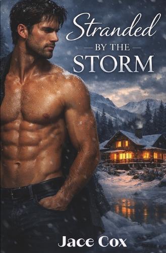 Stranded by the Storm: Stranded in Distress Book 1