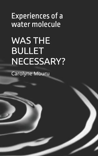 Was the Bullet Necessary: Experiences of a water molecule