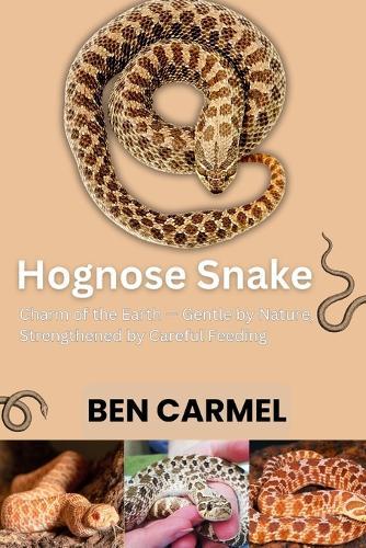 Hognose Snake: Charm of the Earth - Gentle by Nature, Strengthened by Careful Feeding