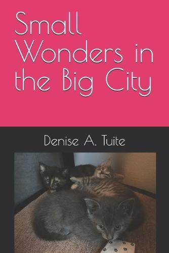Small Wonders in the Big City