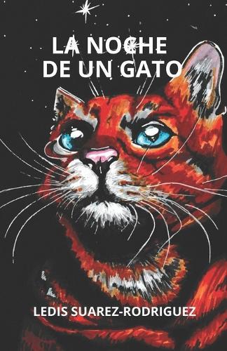 La Noche de Un Gato