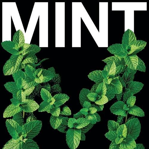 Mint: An illustrated alphabet in two weights