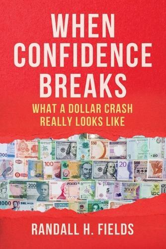 When Confidence Breaks: How a Dollar Crash Unfolds-and What Survives
