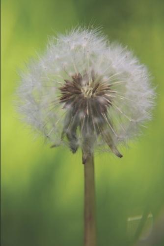 Hope for the Hurting Heart: Finding God's Truth in Life's Deepest Struggles