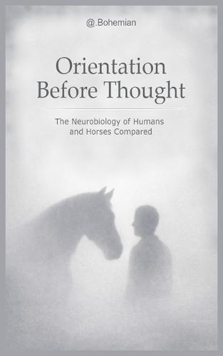 Orientation Before Thought