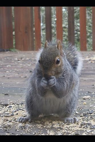 One Hundred Nights, One Hundred World: Stories for Children