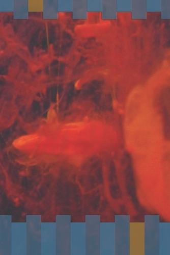 Stratios: Shadows Of The Veil