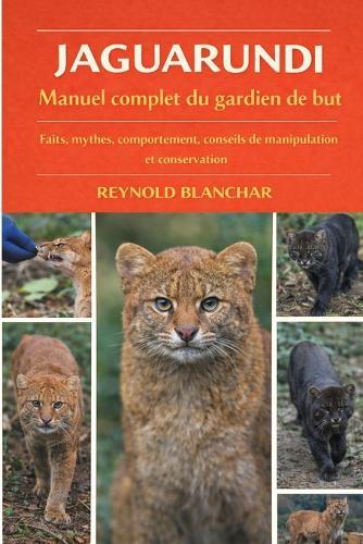 Jaguarundi: Faits, mythes, comportement, conseils de manipulation et conservation