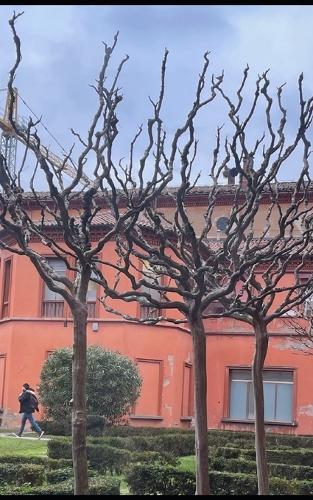 Creature in batik: Racconti