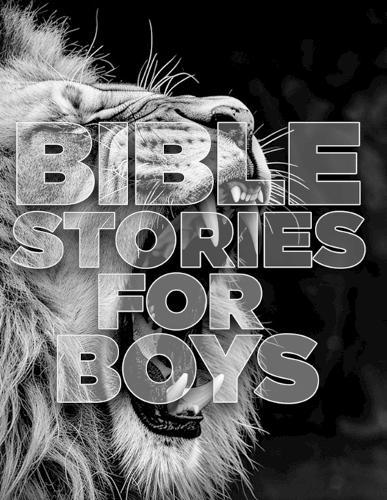 Bible Stories For Boys