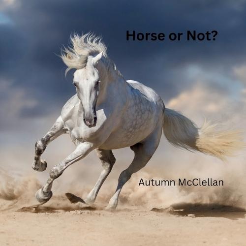 Horse or Not?