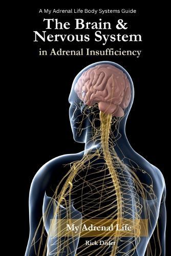 The Brain & Nervous System in Adrenal Insufficiency: Understanding Cognitive, Autonomic, and Neurologic Symptoms - and How to Talk About Them