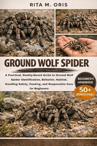Ground Wolf Spider: A Practical, Reality-Based Guide to Ground Wolf Spider Identification, Behavior, Habitat, Handling Safety, Feeding, and Responsible Care for Beginners