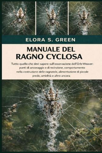 Manuale del Ragno Cyclosa: Tutto quello che devi sapere sull'osservazione dell'Orb-Weaver: punti di ancoraggio e di recinzione, comportamento nella costruzione delle ragnatele, alimentazione di piccole prede, umidità e altro ancora