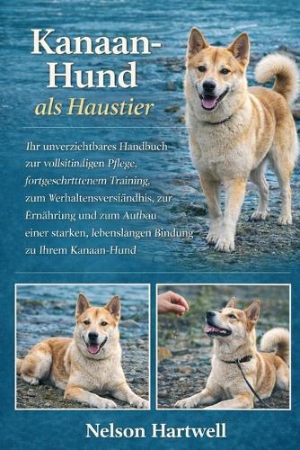 Kanaan-Hund ALS Haustier: Ihr unverzichtbares Handbuch zur vollständigen Pflege, fortgeschrittenem Training, zum Verhaltensverständnis, zur Ernährung und zum Aufbau einer starken, lebenslangen Bindung zu Ihrem Kanaan-Hund