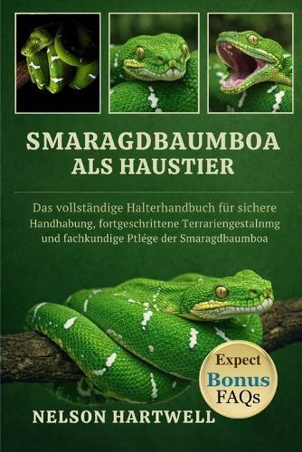Smaragdbaumboa ALS Haustier: Das vollständige Halterhandbuch für sichere Handhabung, fortgeschrittene Terrariengestaltung und fachkundige Pflege der Smaragdbaumboa