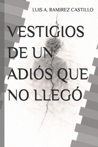 Vestigios de Un Adiós Que No Llegó