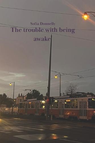 The trouble with being awake