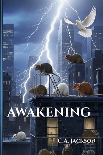 Awakening