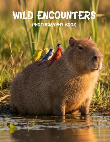 Wild Encounters Photography Book: A Breathtaking Journey Through The Untamed World Of Wildlife Photography