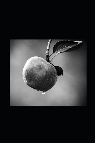 La Parole sans Héritiers: Jésus, le Royaume et la rupture avec le christianisme ontologique