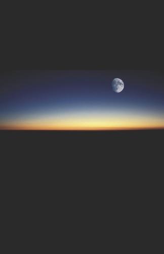 Dialogue with the Entity Vol.4