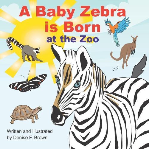 A Baby Zebra is Born at the Zoo
