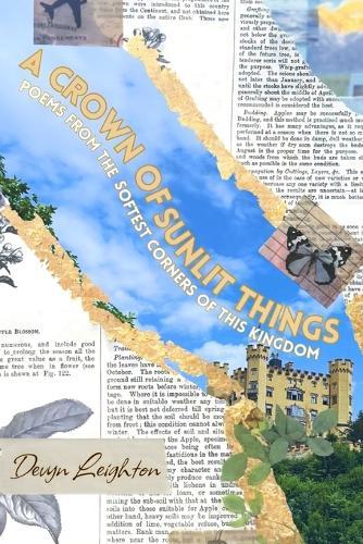 A Crown Of Sunlit Things: Poems From The Softest Corners Of This Kingdom