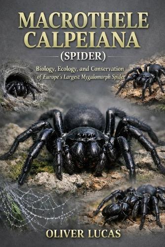Macrothele Calpeiana ( Spider ): Biology, Ecology, and Conservation of Europe's Largest Mygalomorph Spider