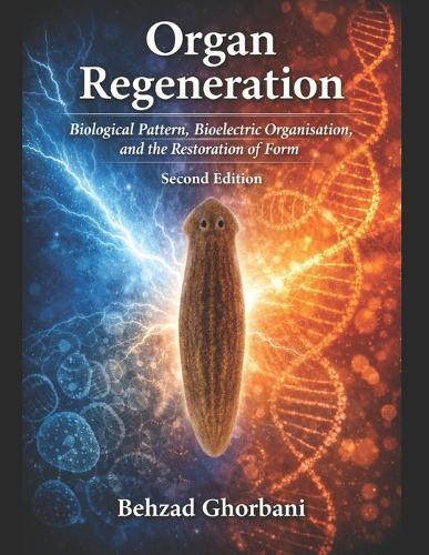 Organ Regeneration: Biological Pattern, Bioelectric Organisation, and the Restoration of Form