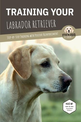 Training Your Labrador Retriever: Step-by-Step Training with Positive Reinforcement